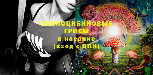 ПСИЛОЦИБИНОВЫЕ ГРИБЫ Михайловка