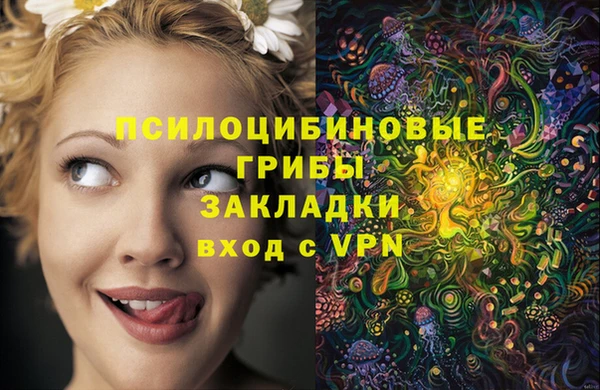 ПСИЛОЦИБИНОВЫЕ ГРИБЫ Михайловка
