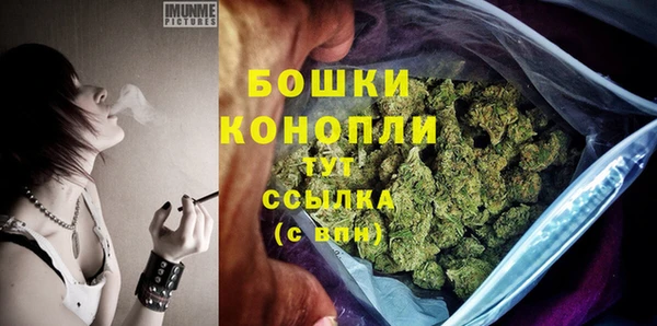 ПСИЛОЦИБИНОВЫЕ ГРИБЫ Михайловка