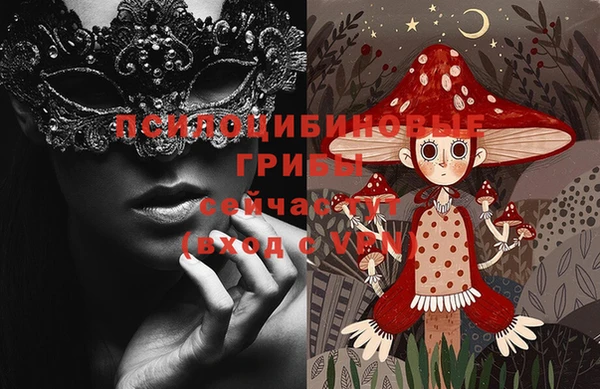 ПСИЛОЦИБИНОВЫЕ ГРИБЫ Михайловка