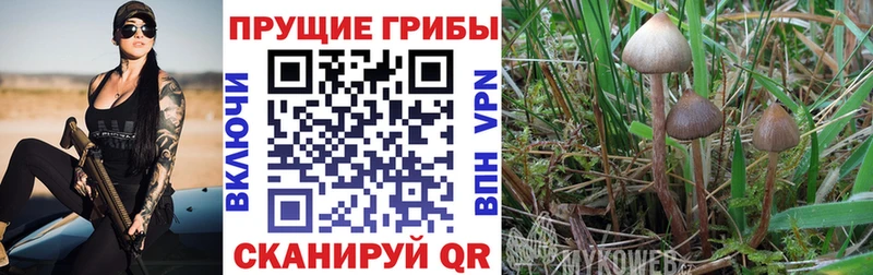 Галлюциногенные грибы мицелий  Купить  Мышкин 